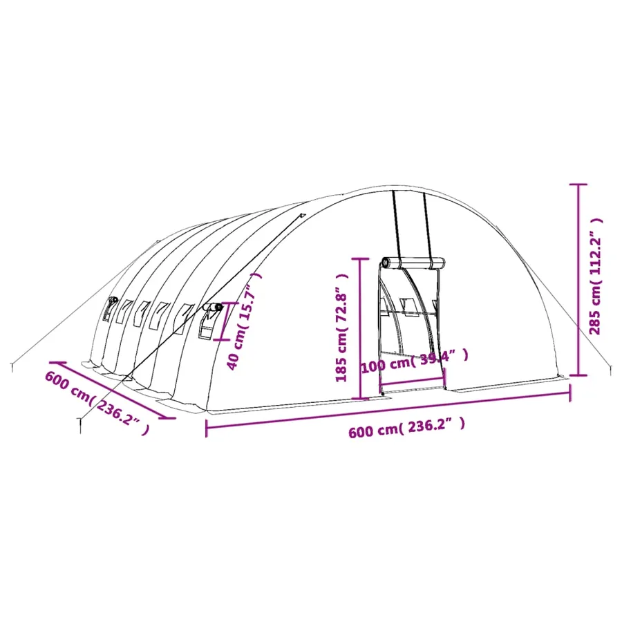 Serre avec cadre en acier vert 36 m² 6x6x2,85 m - 12