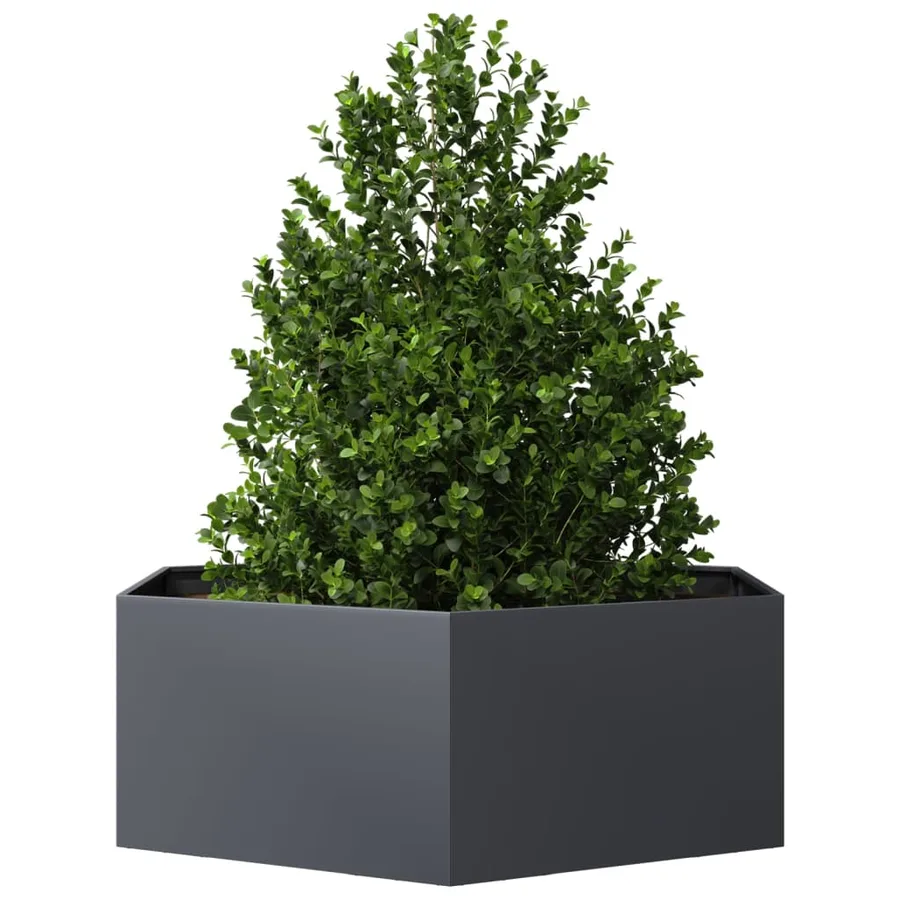 Jardinière anthracite hexagone 138x120x45 cm acier - 3