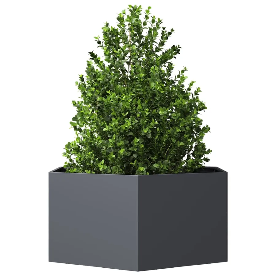 Jardinière anthracite hexagone 104x90x45 cm acier - 3