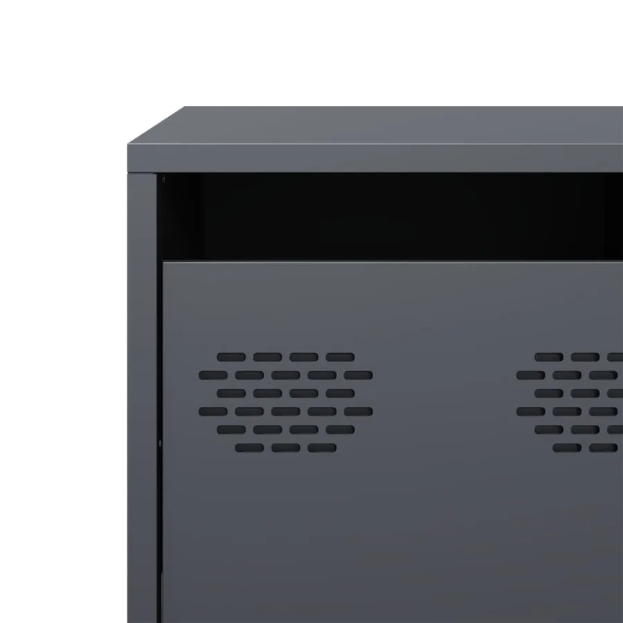 Meuble TV anthracite 101,5x39x43,5 cm acier laminé à froid - 10