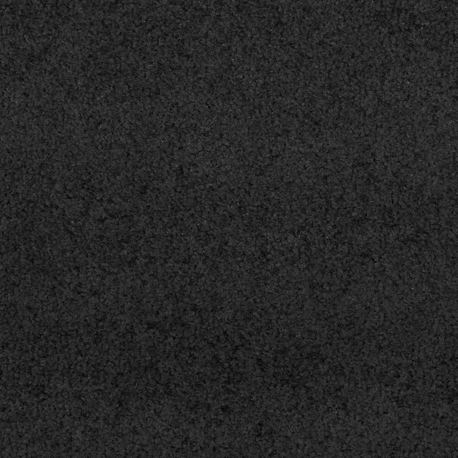 Tapis d'entrée Noir 60 x 180 cm 100% Polyamide - 6