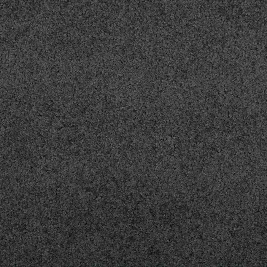 Tapis d'entrée Anthracite et noir 120 x 350 cm 100% Polyamide - 6