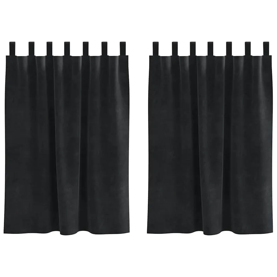 Rideaux occultants 2 pcs Noir 140 x 140 cm Velours - 2