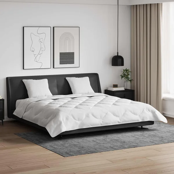Duvet d'été simple avec oreiller 3 pcs Blanc Microfibre