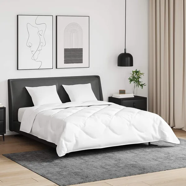 Ensemble de Duvet avec oreiller 3 pcs Blanc Plume de canard