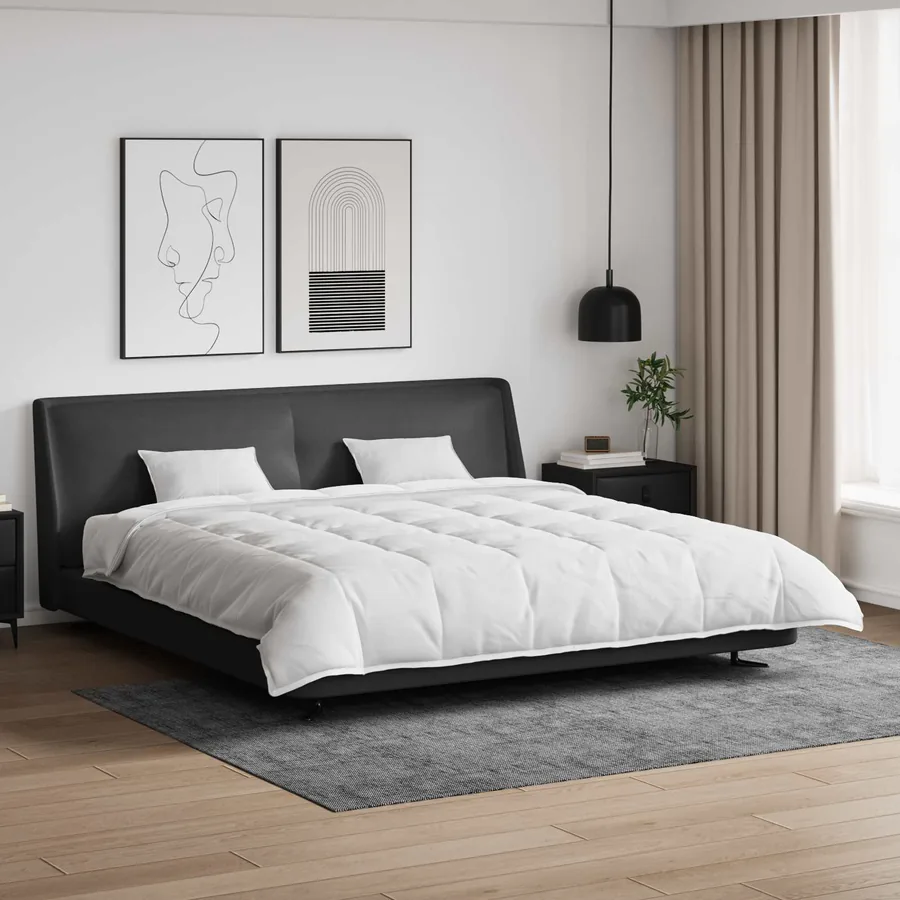Ensemble de Duvet avec oreiller 3 pcs Blanc Plume de canard