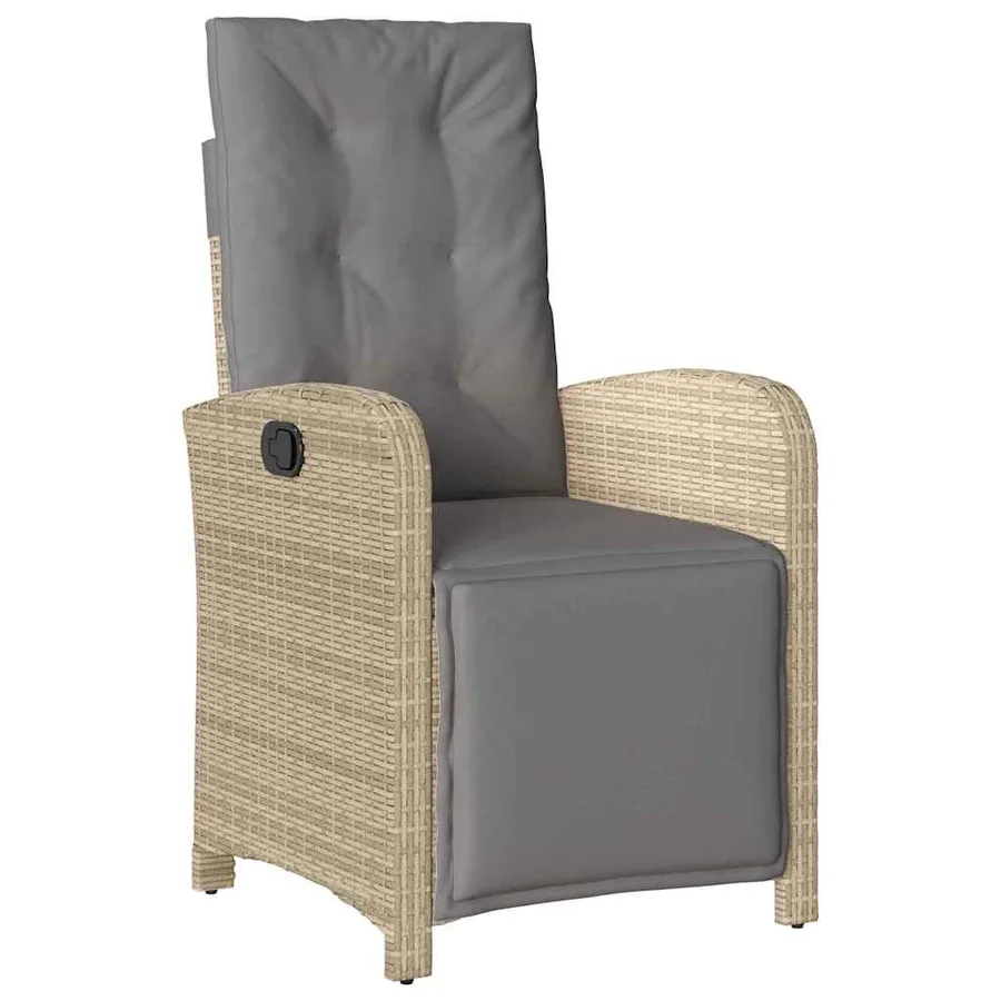 Ensemble de salle à manger pour jardin 9 pcs Beige polyrotin - 6