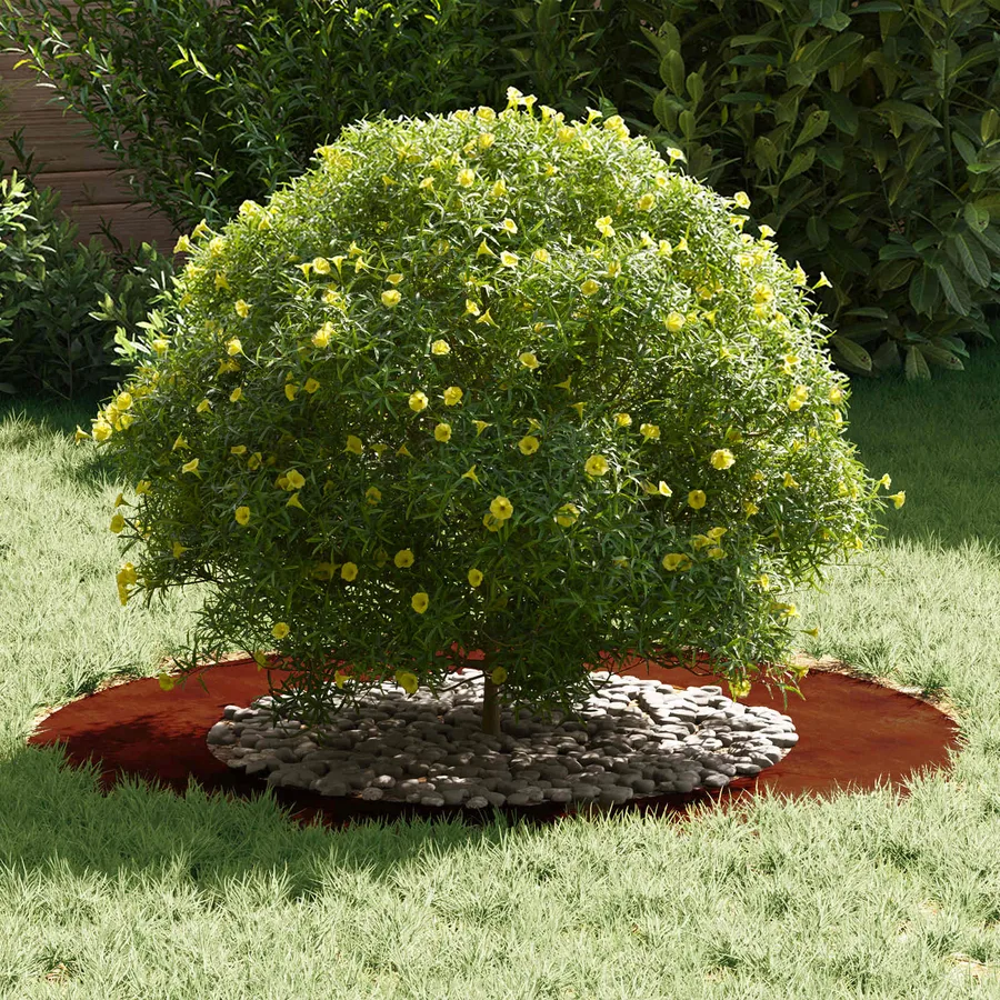 adapté pour anneau d'arbre plat Rouillé Ø50/80 cm - 3