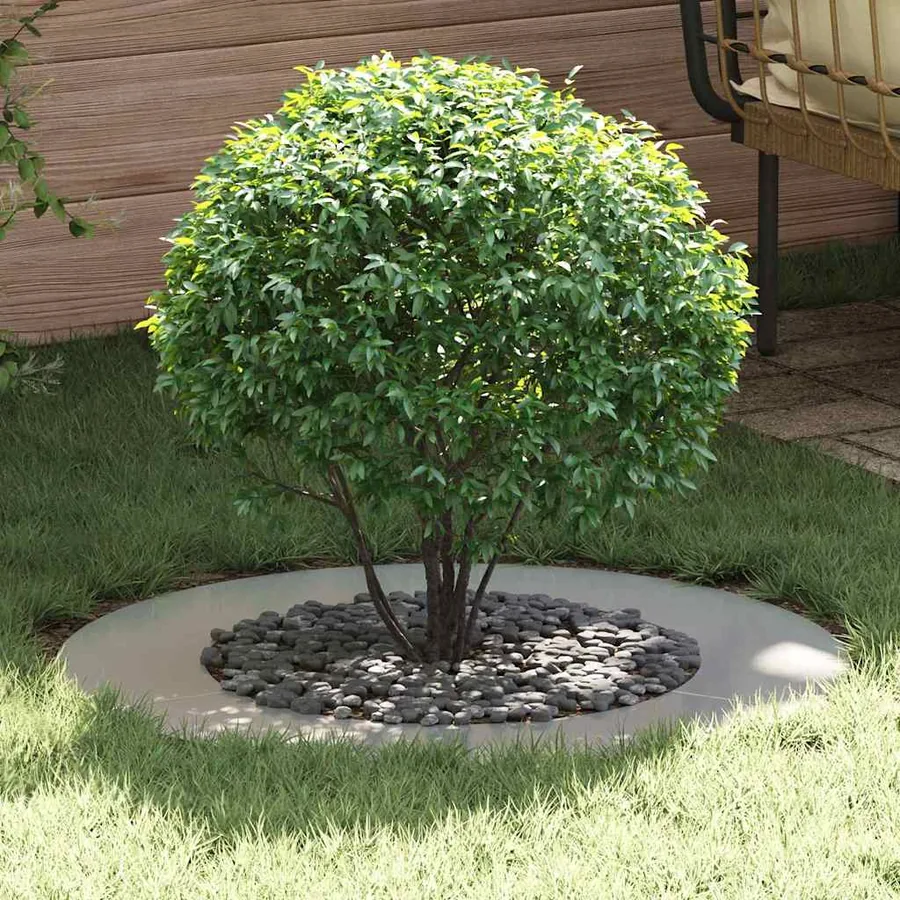 adapté pour anneau d'arbre plat Argent Ø50/80 cm