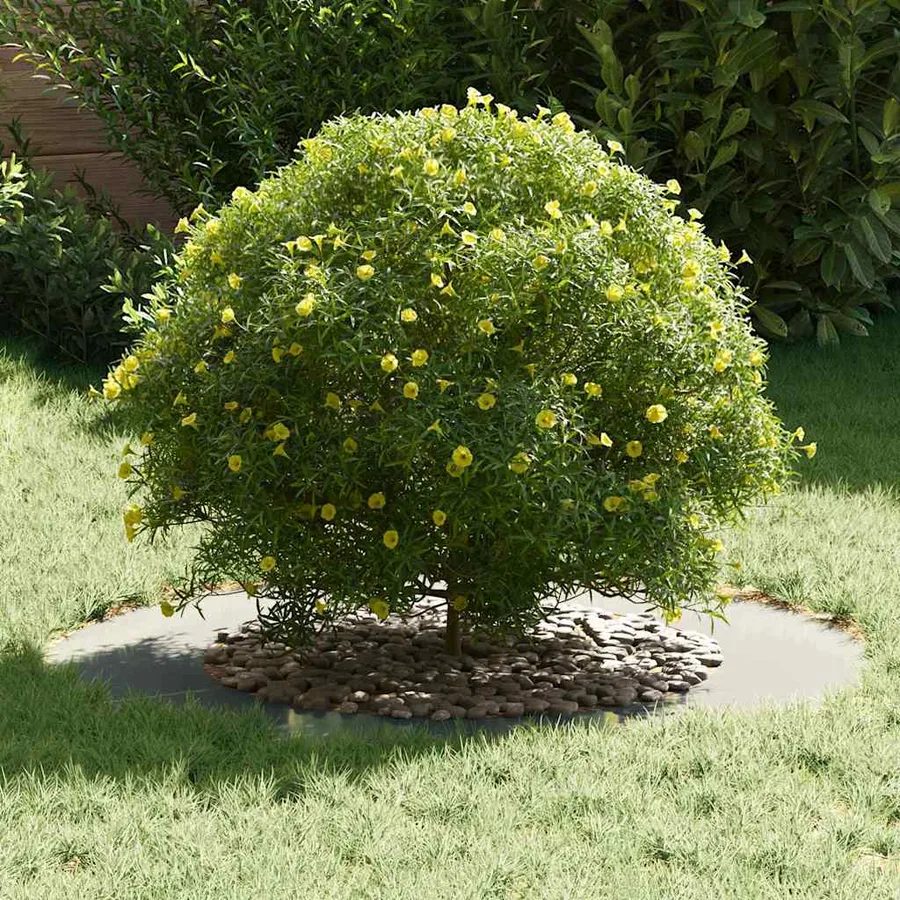 adapté pour anneau d'arbre plat Argent Ø50/80 cm - 3