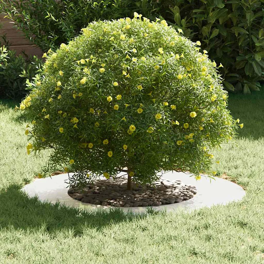 adapté pour anneaux d'arbre plats 5 pc Argent Ø40/70 cm - 3
