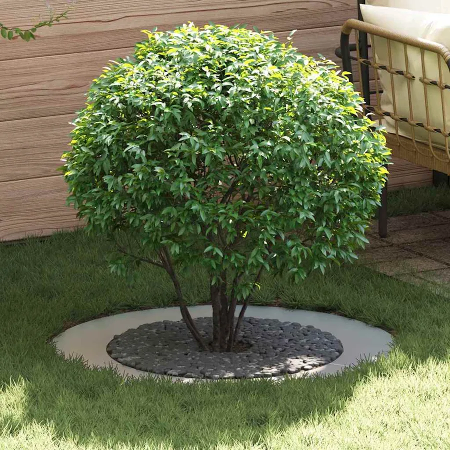 adapté pour anneau d'arbre plat Argent Ø60/90 cm