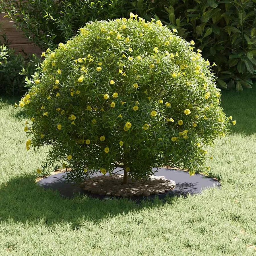 adapté pour anneau d'arbre plat Anthracite Ø30/60 cm Acier - 3