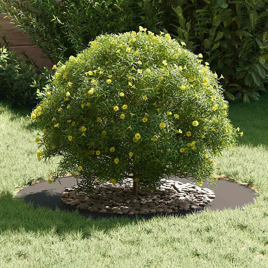 adapté pour anneaux d'arbre plats 5 pc Noir Ø50/80 cm Acier - 3