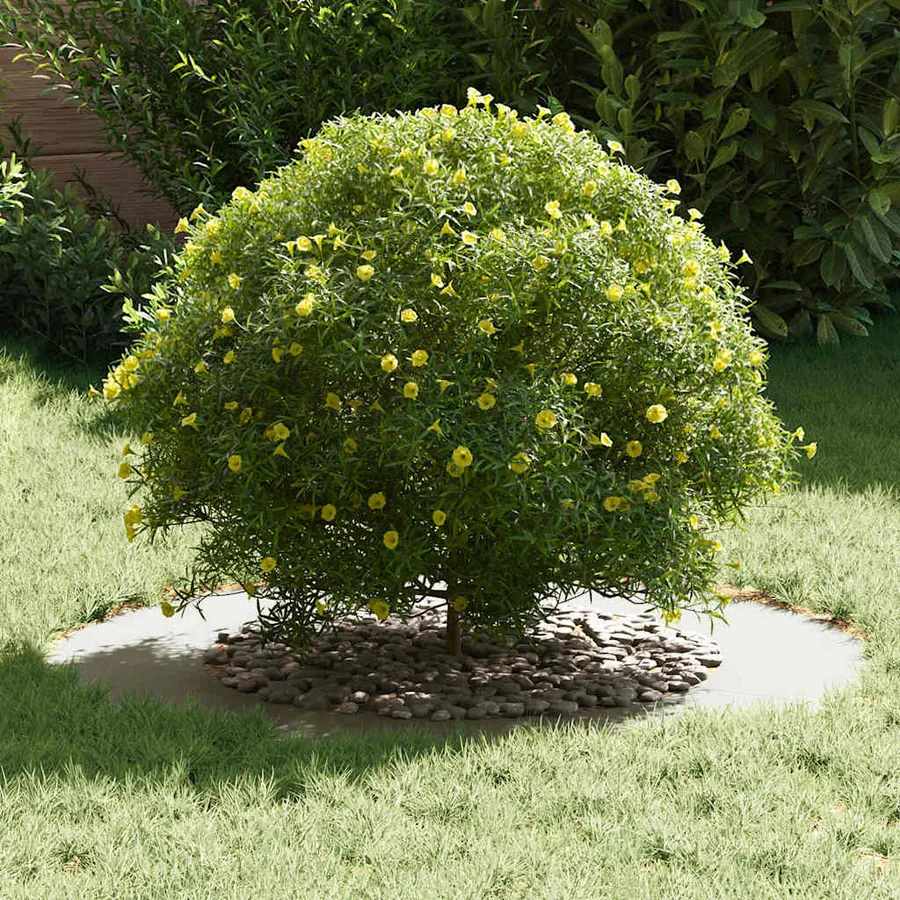 adapté pour anneaux d'arbre plats 5 pc Blanc Ø50/80 cm Acier - 3