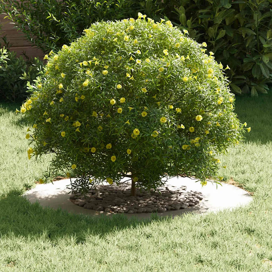 adapté pour anneaux d'arbre plats 5 pc Blanc Ø40/70 cm Acier - 3