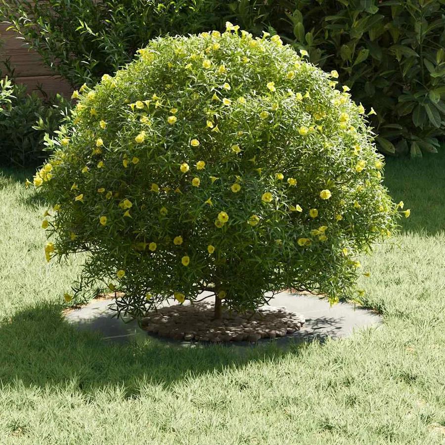 adapté pour anneau d'arbre plat Argent Ø30/60 cm - 3