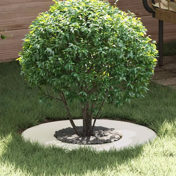 adapté pour anneau d'arbre plat Blanc Ø30/60 cm Acier