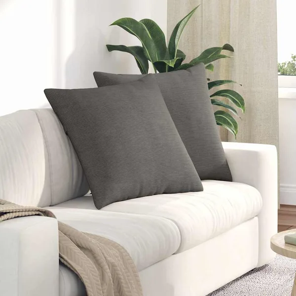 Coussins de canapé 2 pcs Gris clair 60 x 60 cm