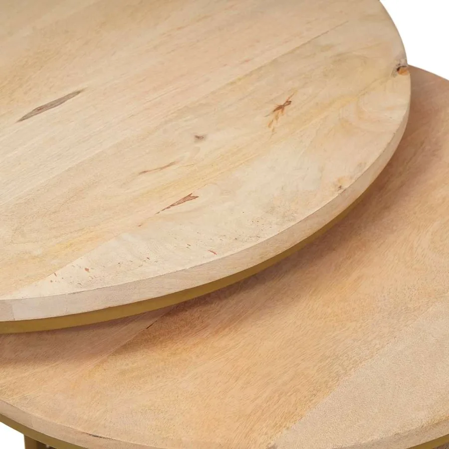 Tables basses gigognes 2 pcs Bois de mangue massif et acier - 9