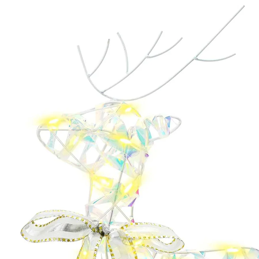 Rennes LED avec 40 LED 2 pcs Blanc chaud PET - 6