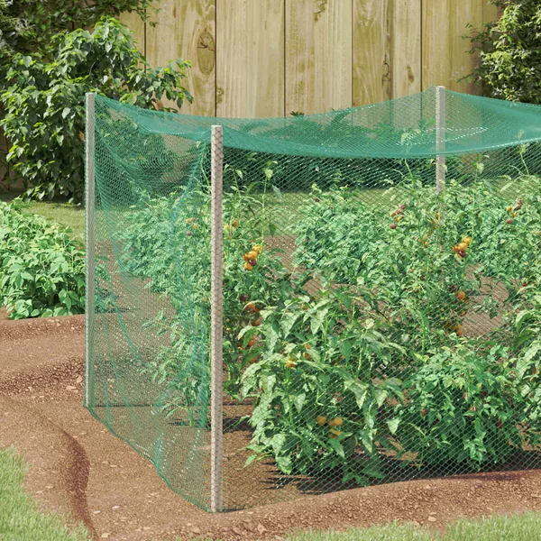 Filet de protection pour oiseaux Vert 2 x 25 m Polyéthylène