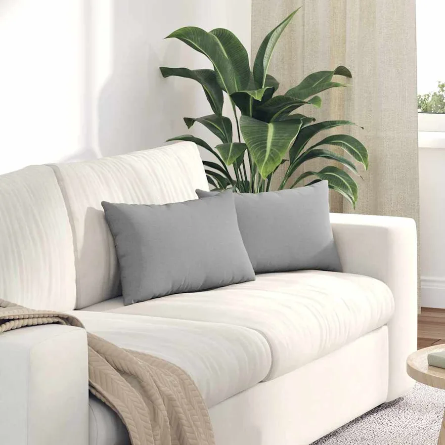 Coussins de canapé 2 pcs Gris nuage 50 x 30 cm tissu