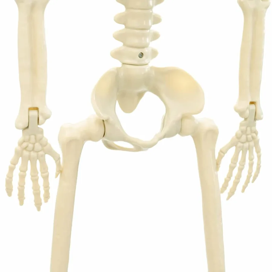 Squelette d'Halloween 2 pcs Blanc 85 cm PVC - 7