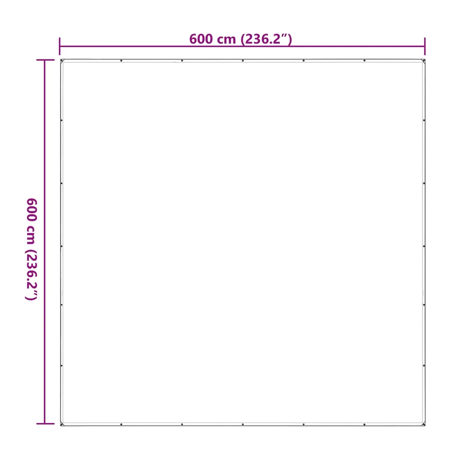 Couverture pour plantes Transparent 6 x 6 m PE - 8