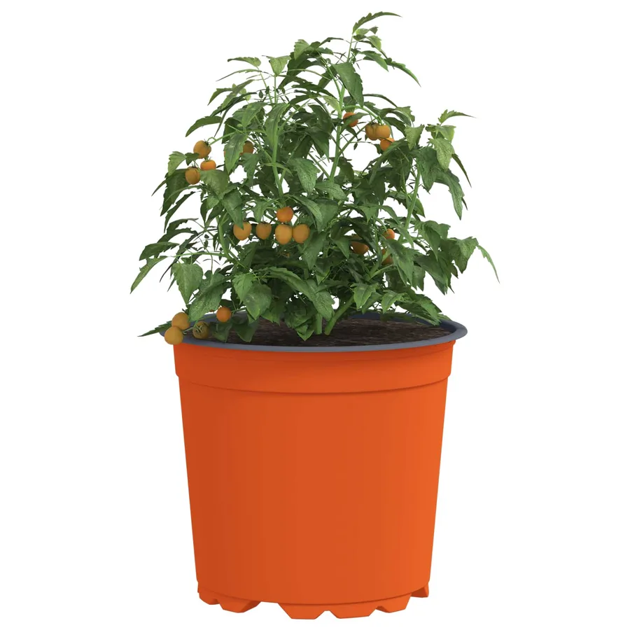 Pot à fleurs 100 pcs Terre cuite Ø 15 x 13 cm Plastique - 3