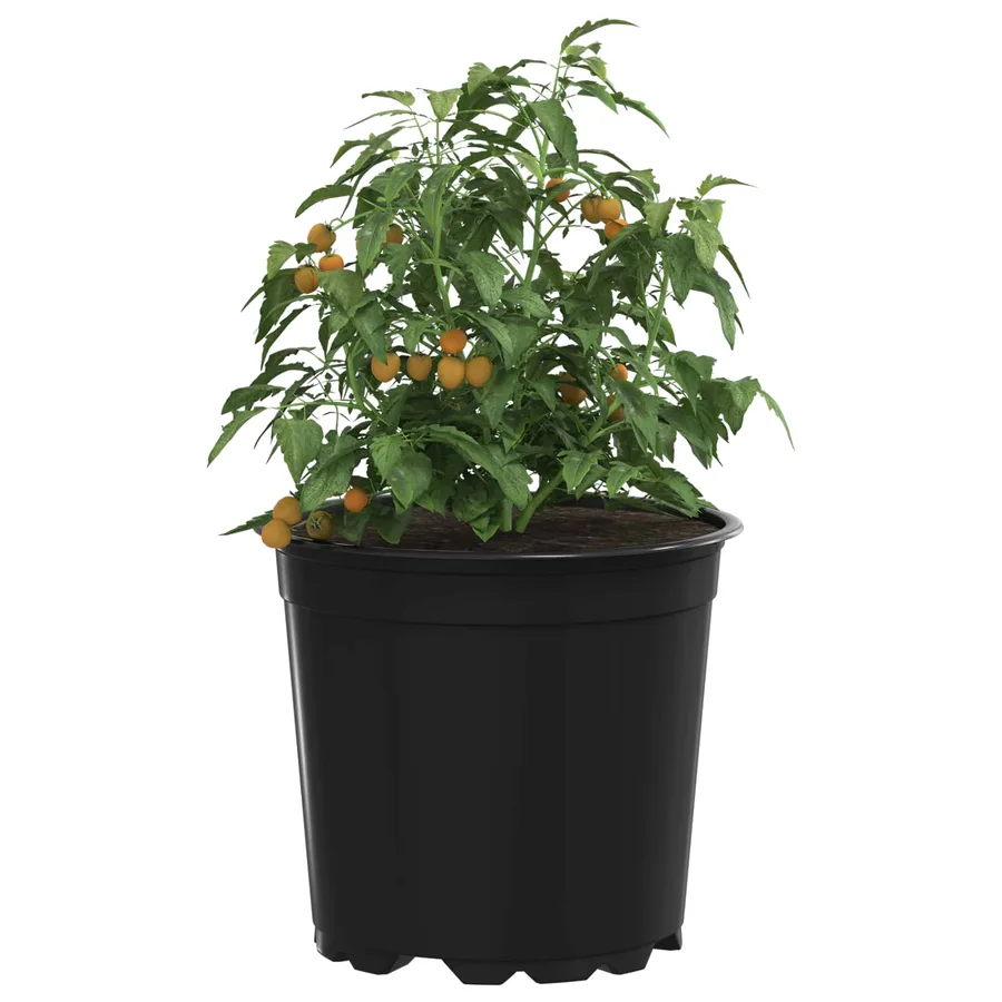 Pot à fleurs 200 pcs Noir Ø 15 x 13 cm Plastique - 3