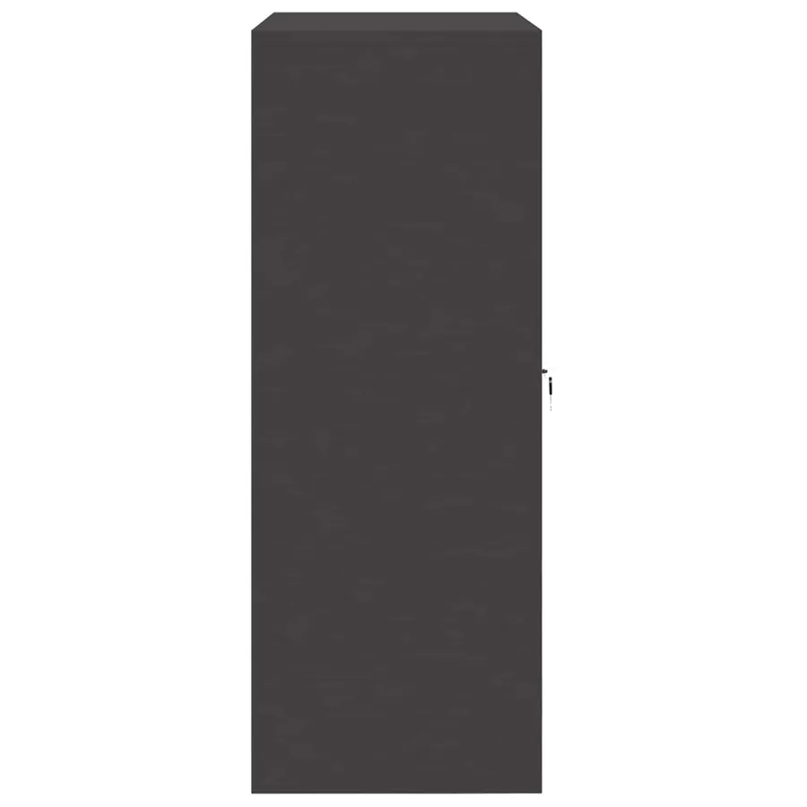 Armoire de rangement Noir 90 x 40 x 105 cm Acier - 7