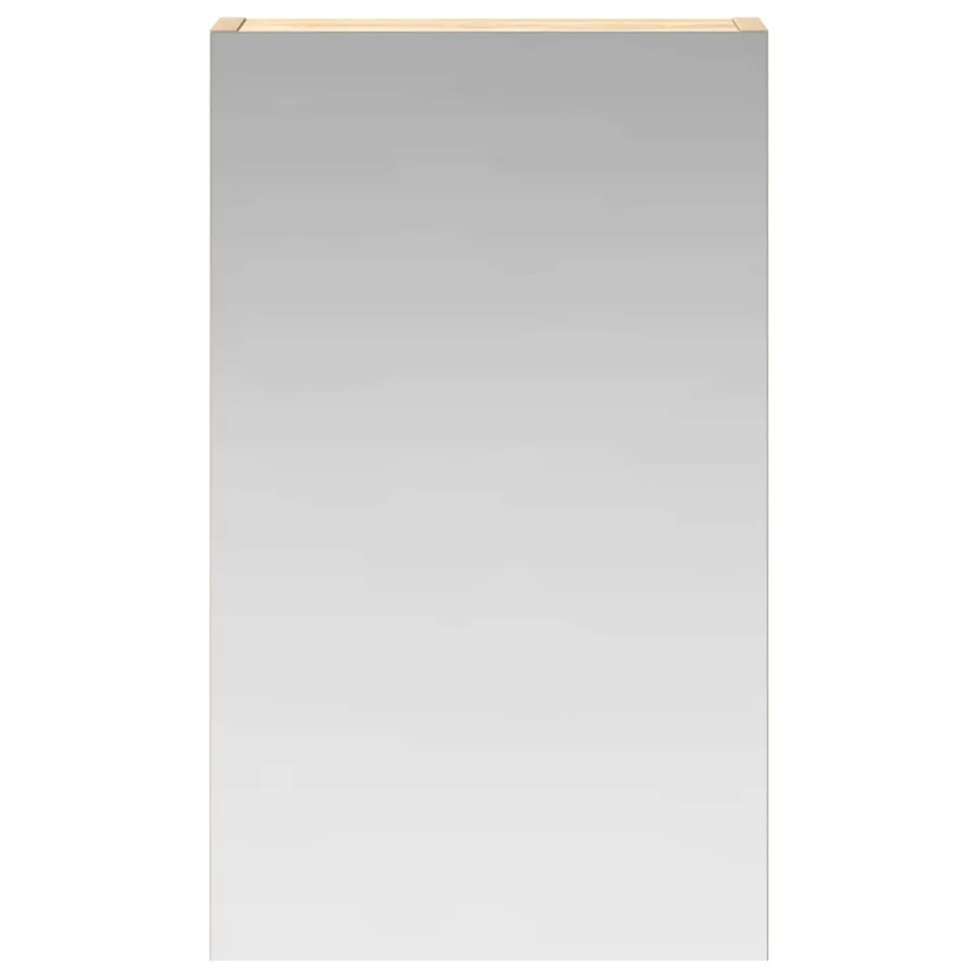 Armoire Miroir de Salle de Bain Chêne Sonoma 30 x 10,5 x 50 cm - 5