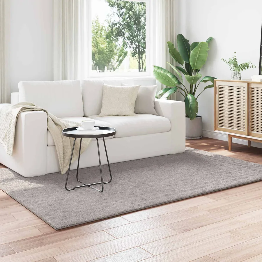 Tapis de surface SIROLO Sable 200 x 140 cm Polyester