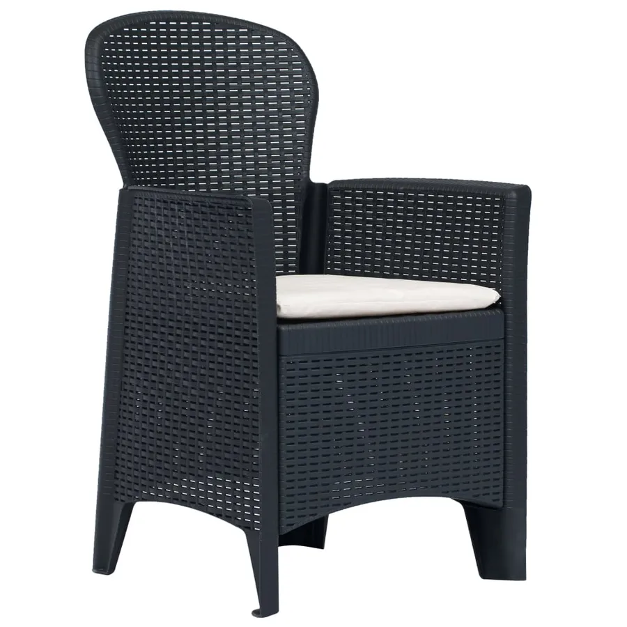 Chaises de jardin lot de 2 avec coussin Anthracite Plastique - 2