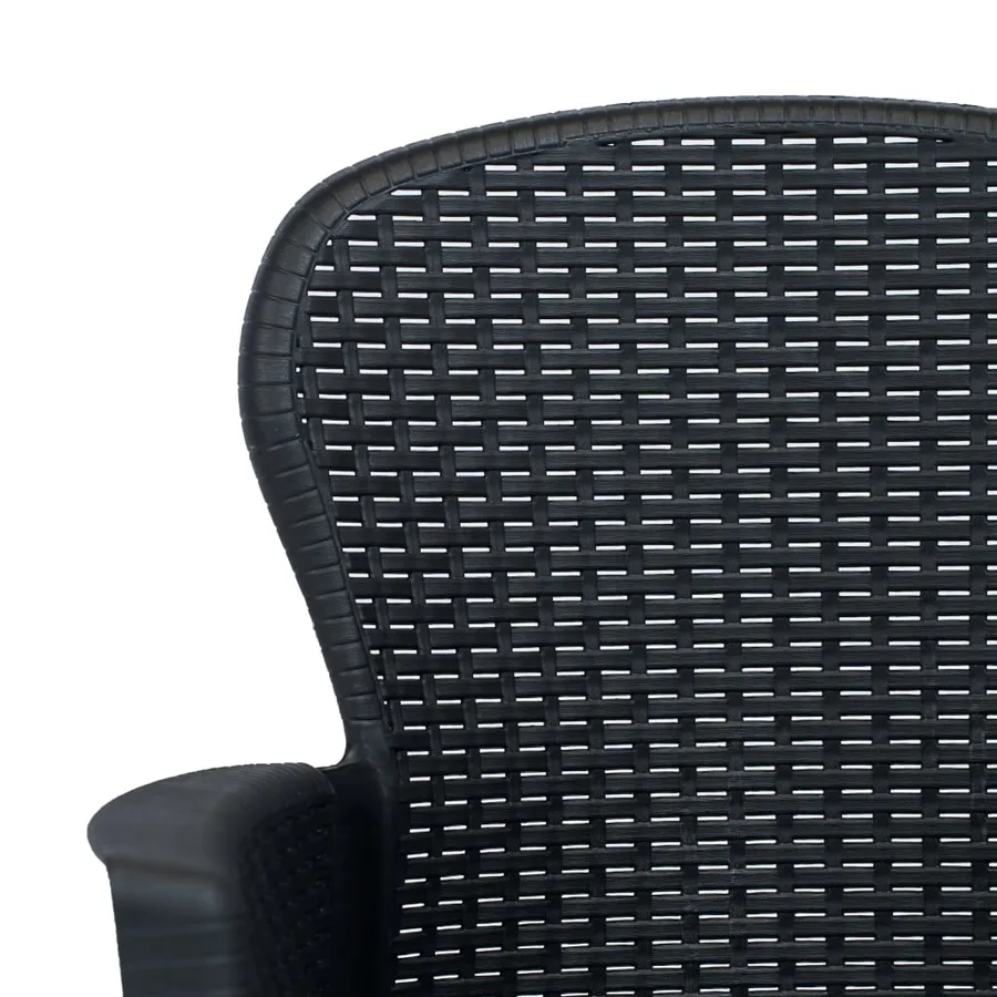 Chaises de jardin lot de 2 avec coussin Anthracite Plastique - 5