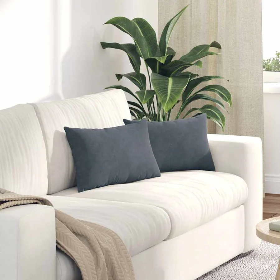 Coussins de canapé 2 pcs Gris foncé 50 x 30 cm