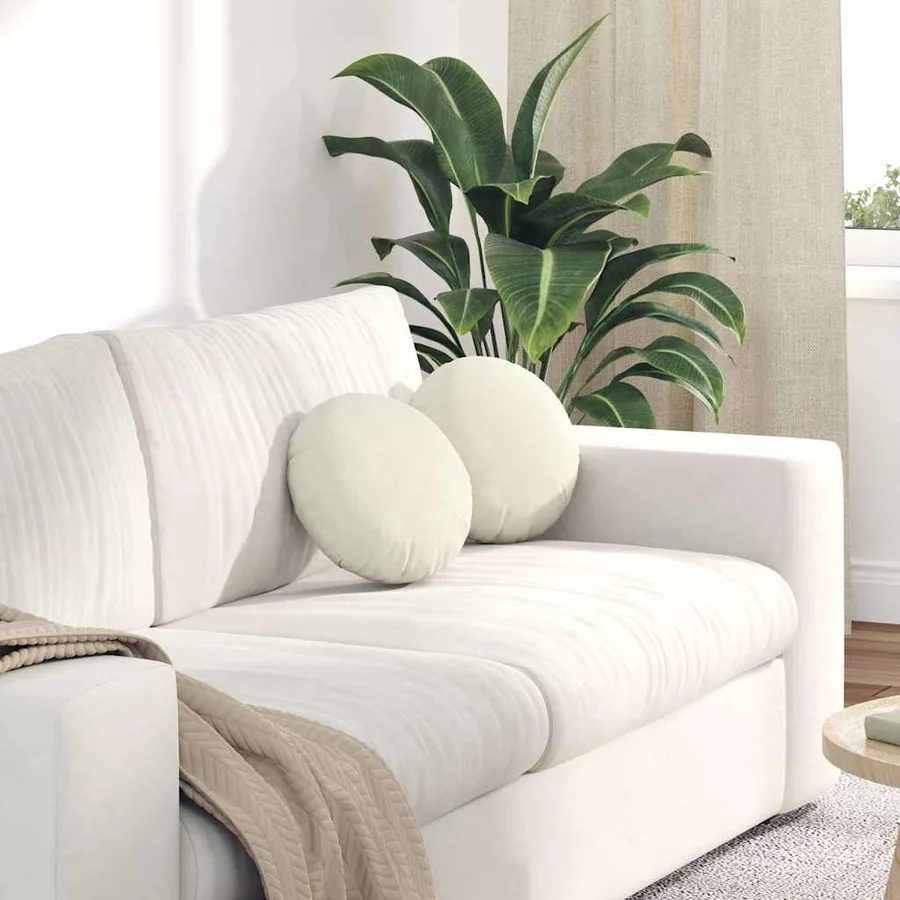 Coussins de siège 2 pcs Crème Ø30 x 13 cm Velours