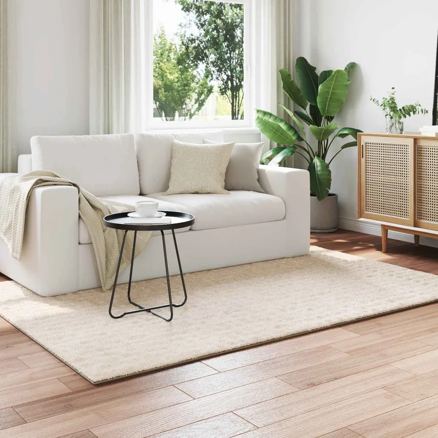 Tapis de surface SIROLO Beige 230 x 160 cm Polyester