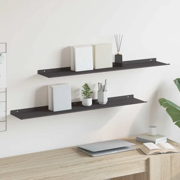 Étagère flottante 2 pcs Noir 100 x 18 x 2,5 cm Acier