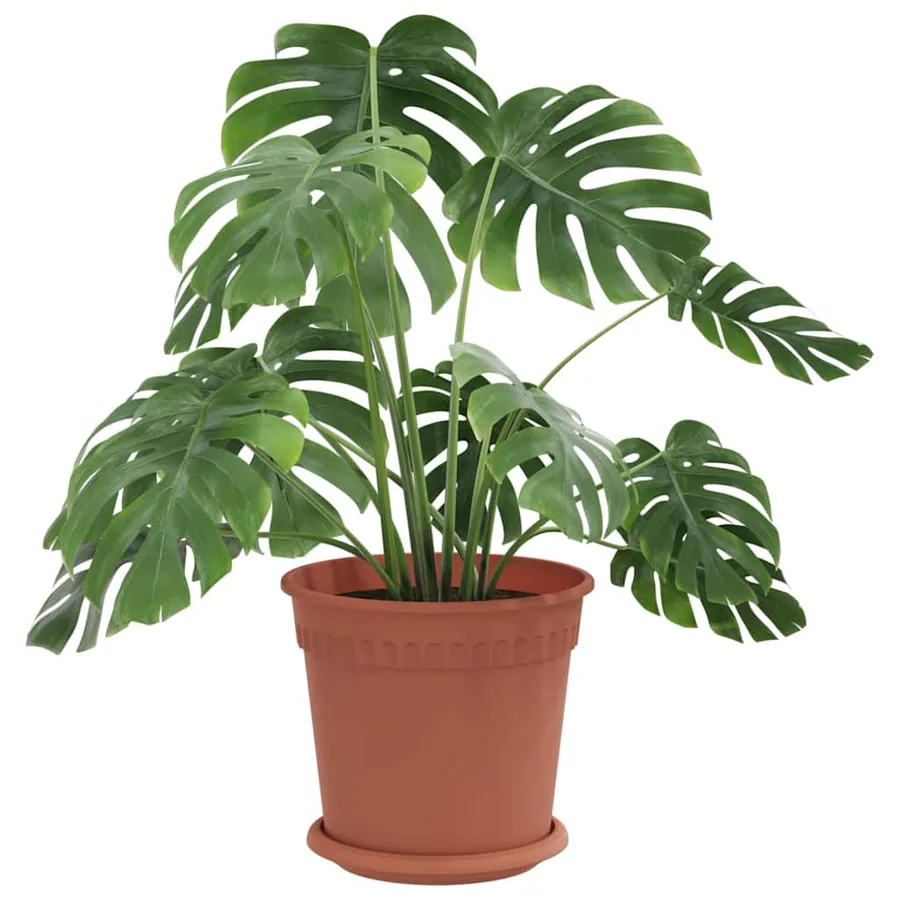 Pots de plantes 6 pcs Rouge brique Ø 19 x 16 cm Plastique - 3