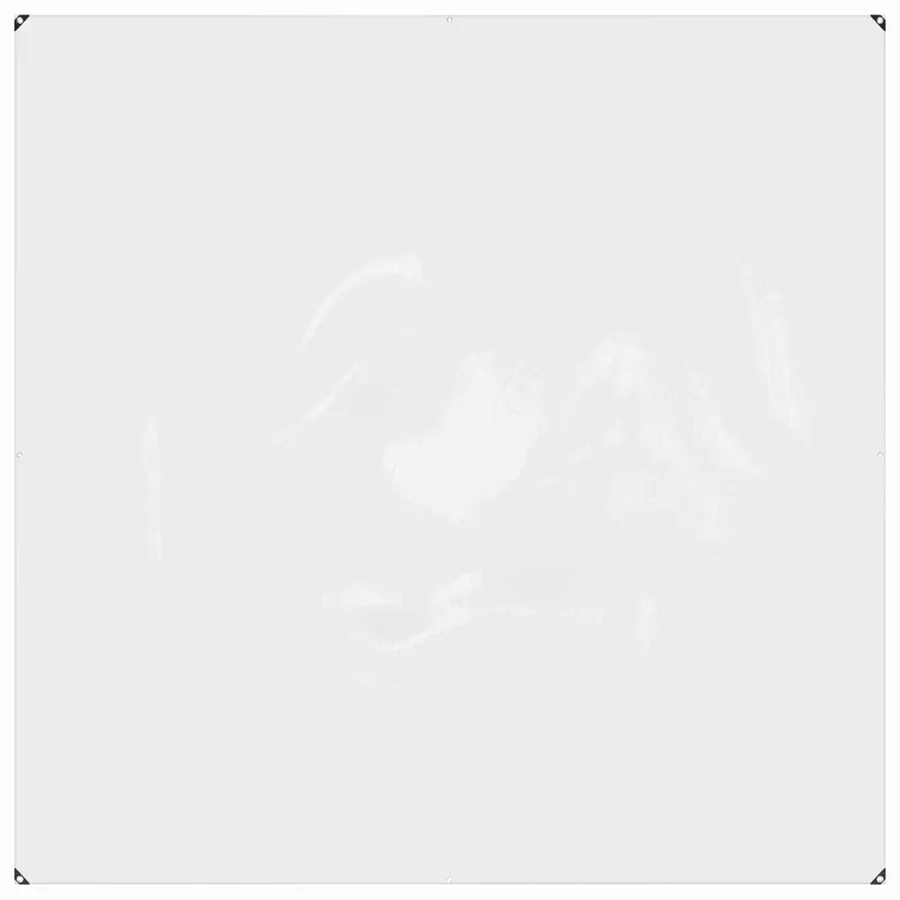 Couverture pour plantes Transparent 2 x 2 m PVC - 2
