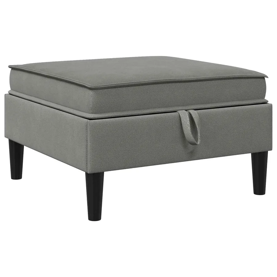 Pouf avec Rangement Gris foncé Velours - 2