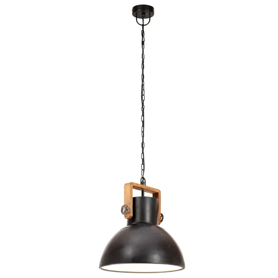Lampe suspendue industrielle 25 W Noir Rond 30 cm E27 - 5