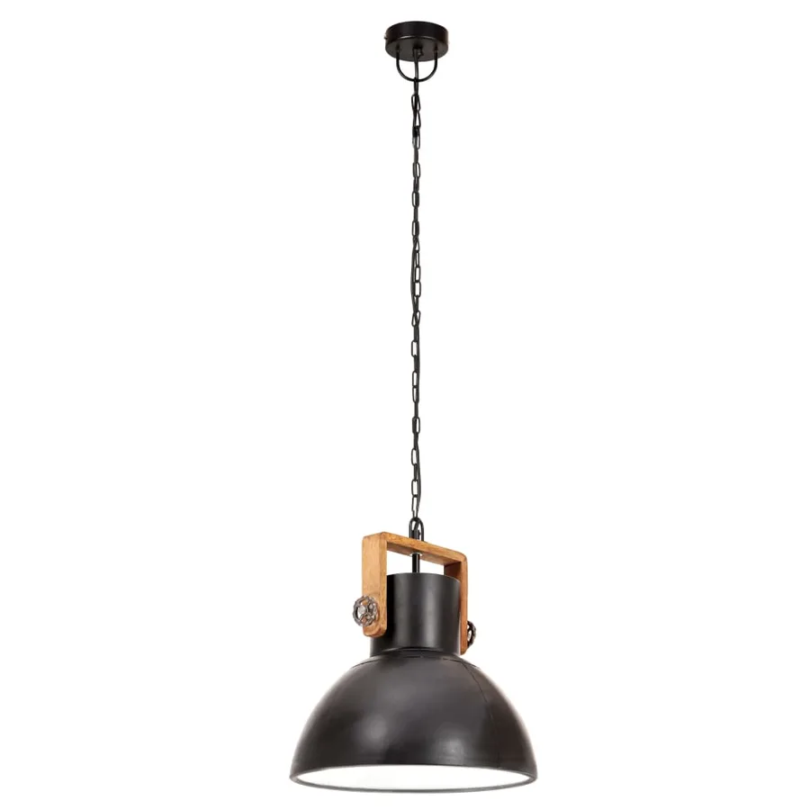 Lampe suspendue industrielle 25 W Noir Rond 30 cm E27 - 6