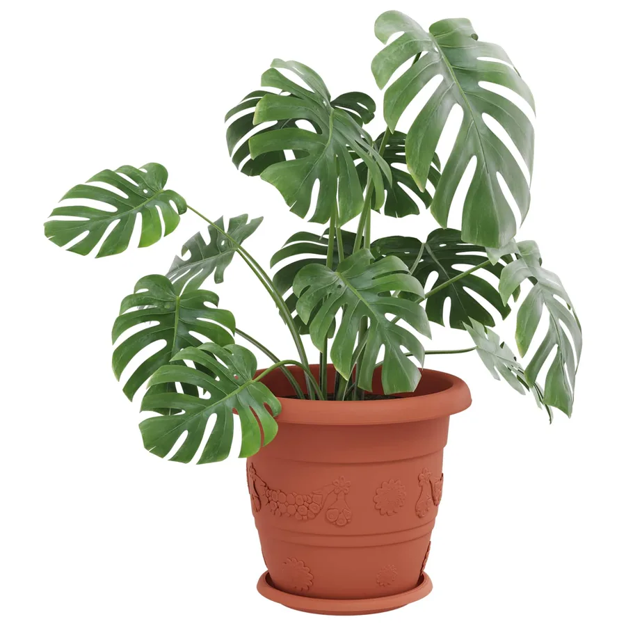 Pots de plantes 24 pcs Rouge brique Ø 34 x 28 cm Plastique - 3