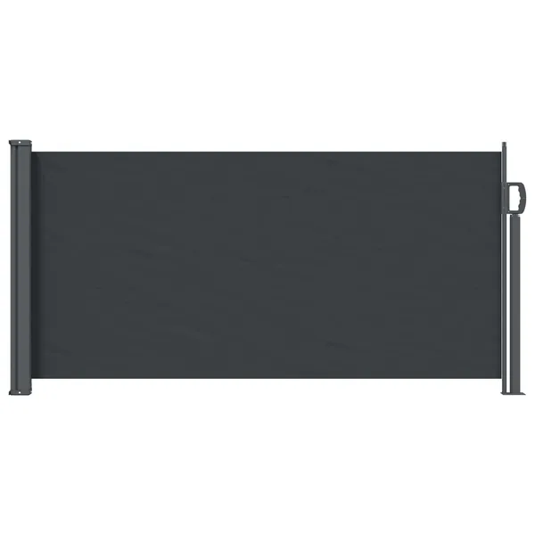Store latéral rétractable Noir 300 x 100 cm Polyester
