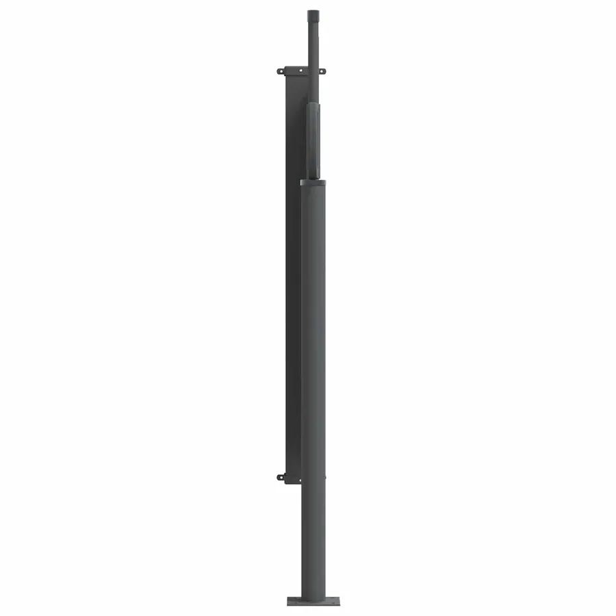 Store latéral rétractable Noir 300 x 100 cm Polyester - 2