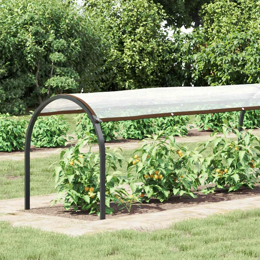 Couverture pour plantes Transparent 20 x 1,5 m PE