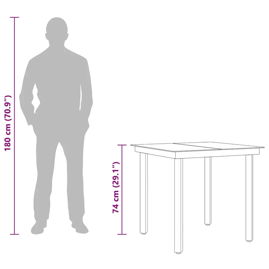 Table à dîner de jardin Noir 80x80x74 cm Acier et verre - 10